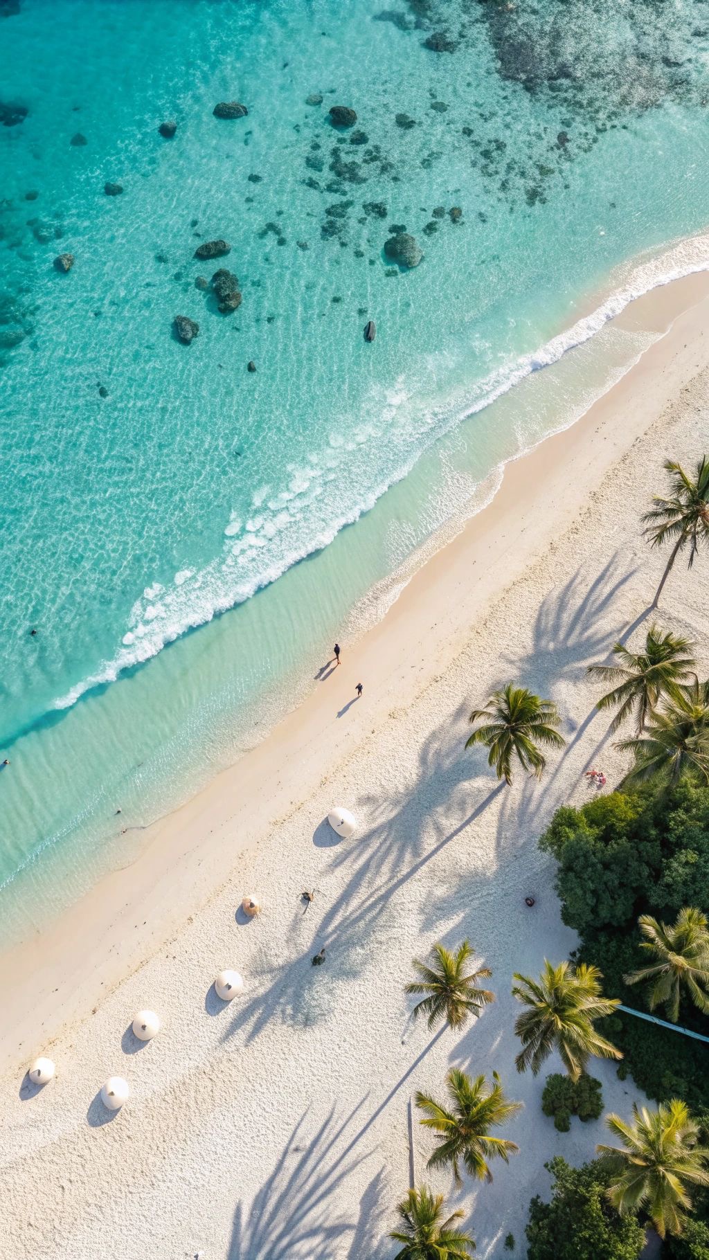 Aerial view of a white sand beach lined with palm trees meeting turquoise water